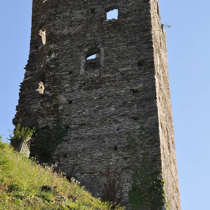 Photo de Château de Chantemerle